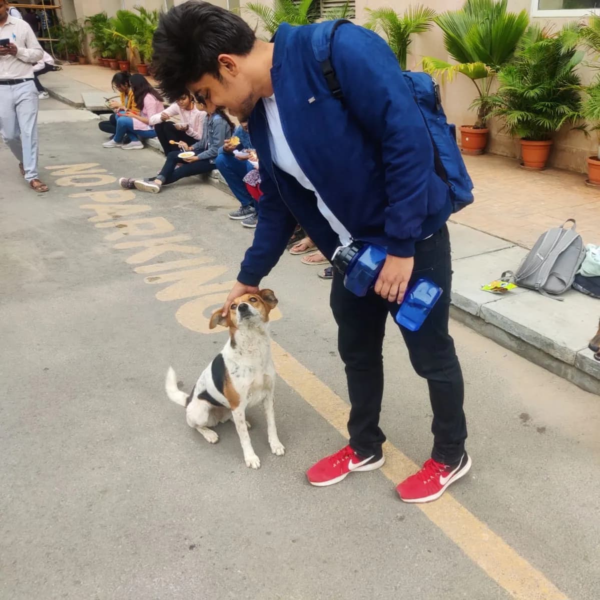 Petting a street dog